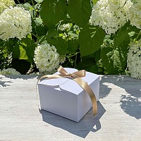 Svatební krabička na výslužku - K34-6219-01