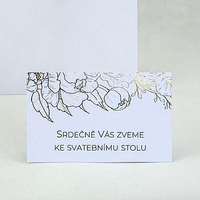Pozvánka - P4003