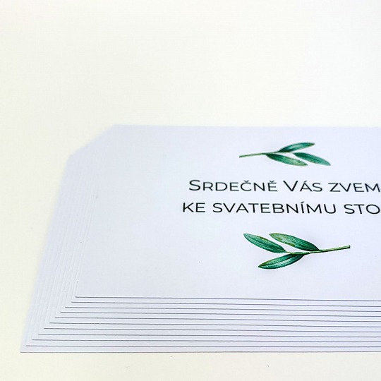 Svatební pozvánka s lístky