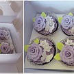 Košíček na cupcake - sada 12 ks - CC1403