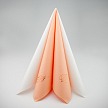 Svatební ubrousky s monogramem - UB01